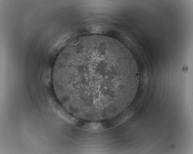 X0000111470554200907131521