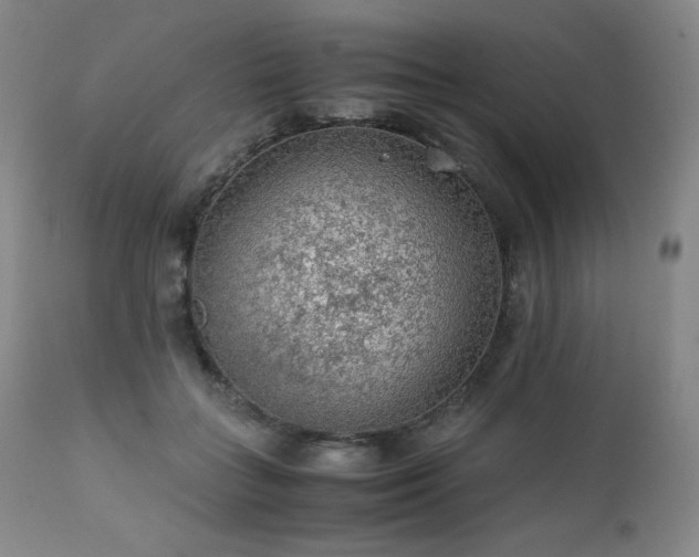 X0000111470555200907131521
