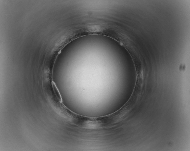 X0000111470556200907131521