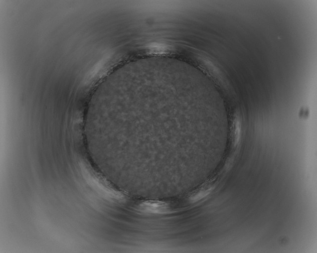 X0000111470557200907131521