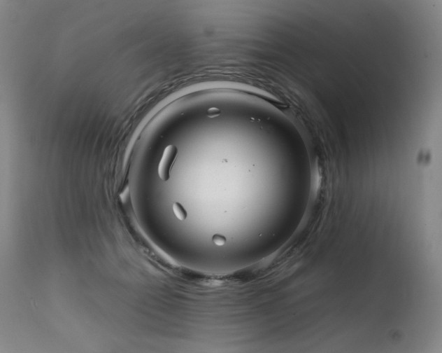 X0000111470558200907131521