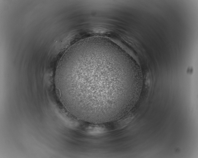 X0000111470559200907131521