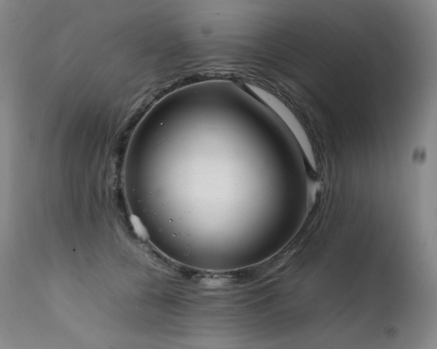 X0000111470560200907131521