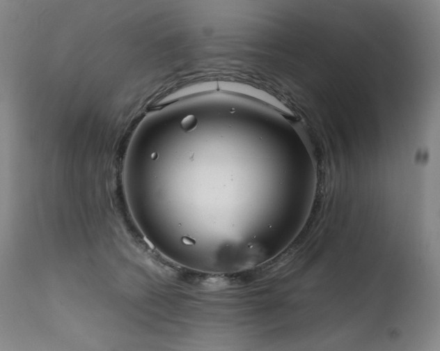 X0000111470562200907131521