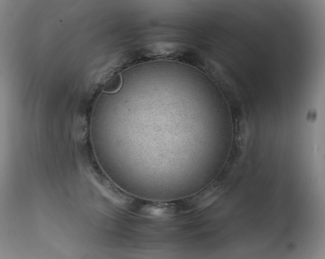 X0000111470563200907131521