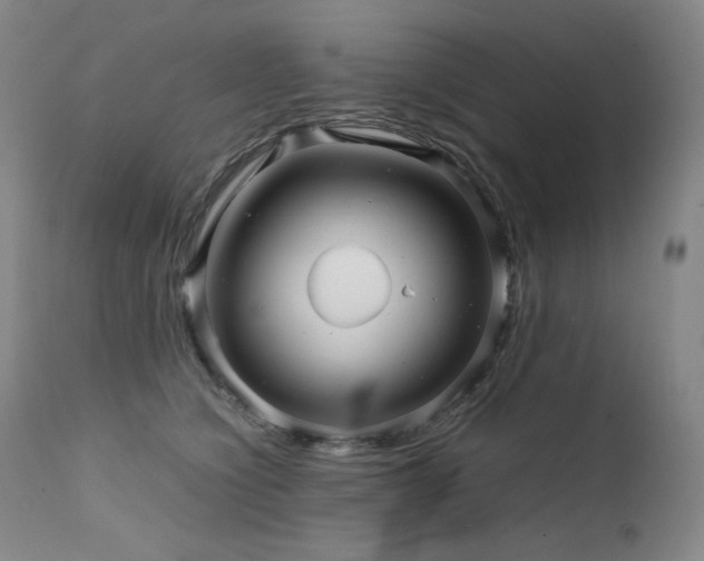 X0000111470564200907131521
