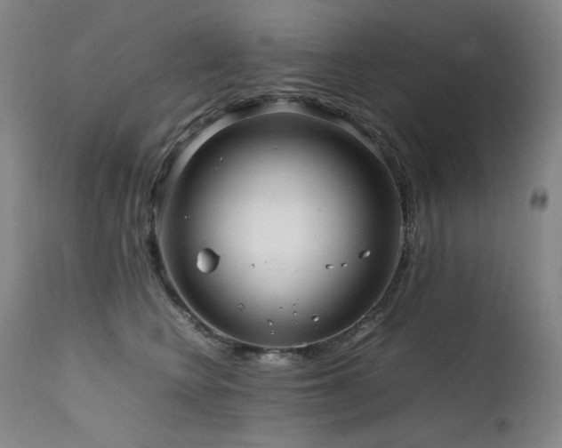 X0000111470566200907131521