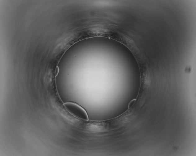 X0000111470567200907131521