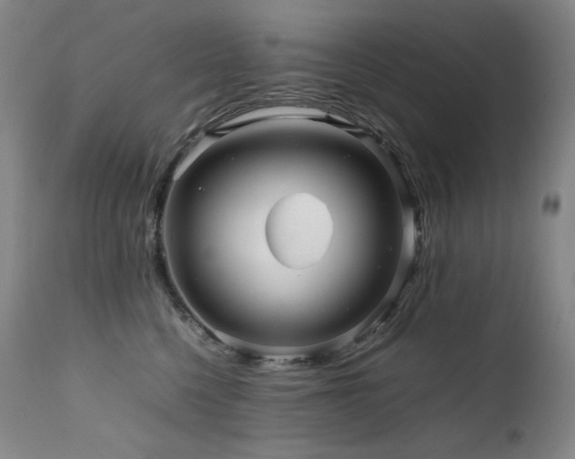 X0000111470568200907131521