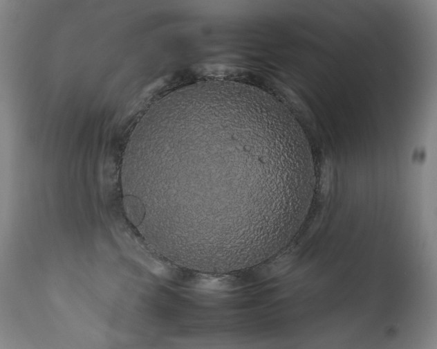 X0000111470569200907131521