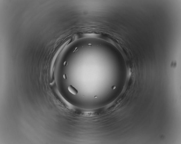 X0000111470570200907131521