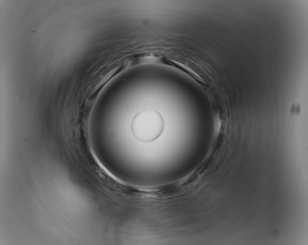 X0000111470572200907131521