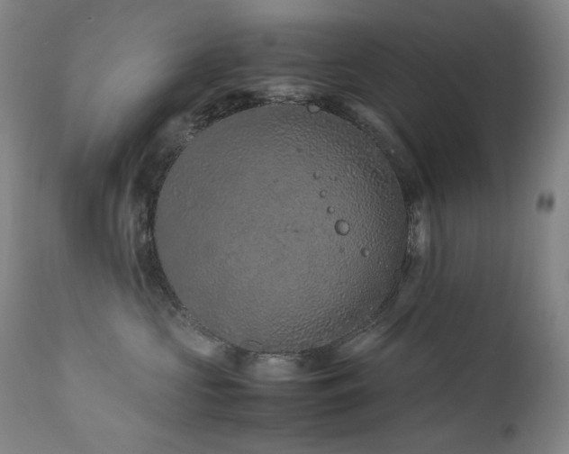 X0000111470573200907131521