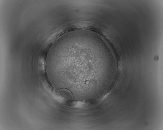 X0000111470575200907131521