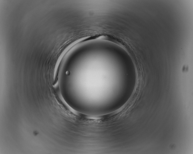 X0000111470576200907131521