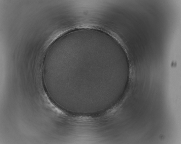 X0000111470577200907131520