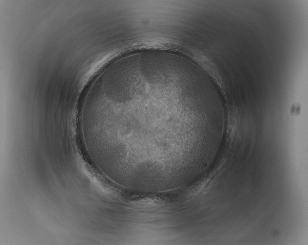 X0000111470578200907131520