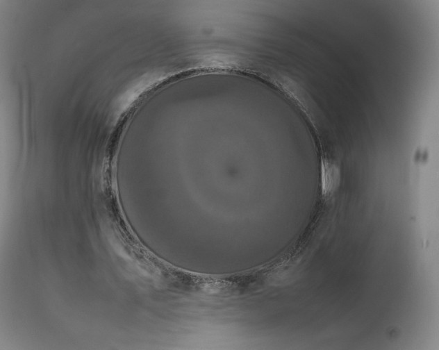 X0000111470579200907131520