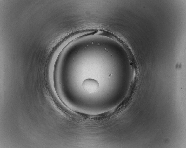 X0000111470581200907131520