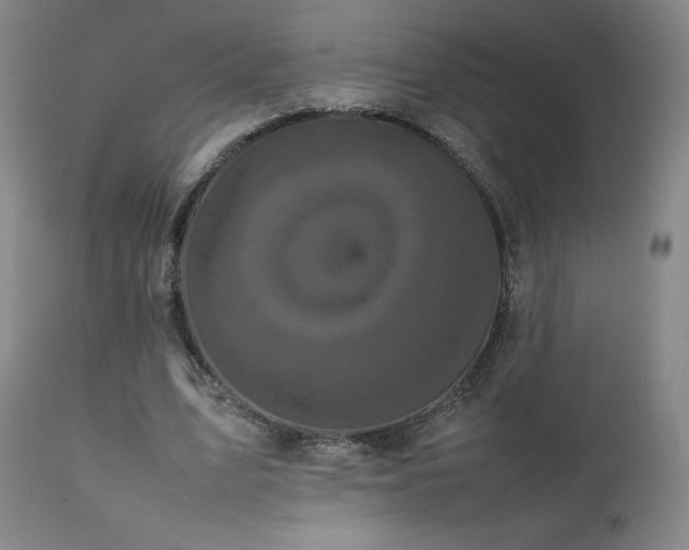 X0000111470583200907131520