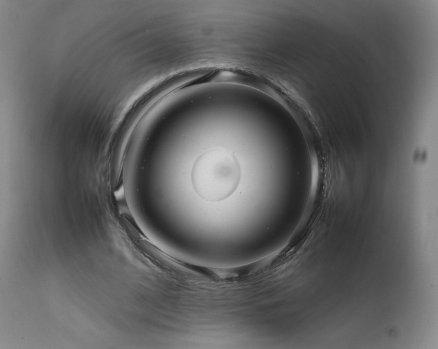 X0000111470584200907131520