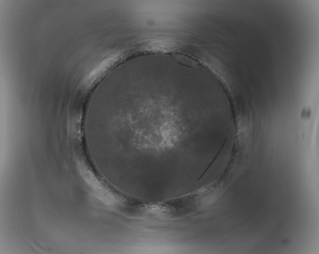 X0000111470585200907131520
