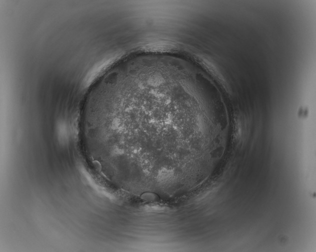 X0000111470586200907131520