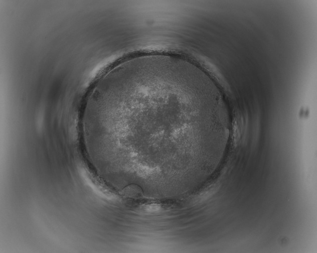 X0000111470588200907131520