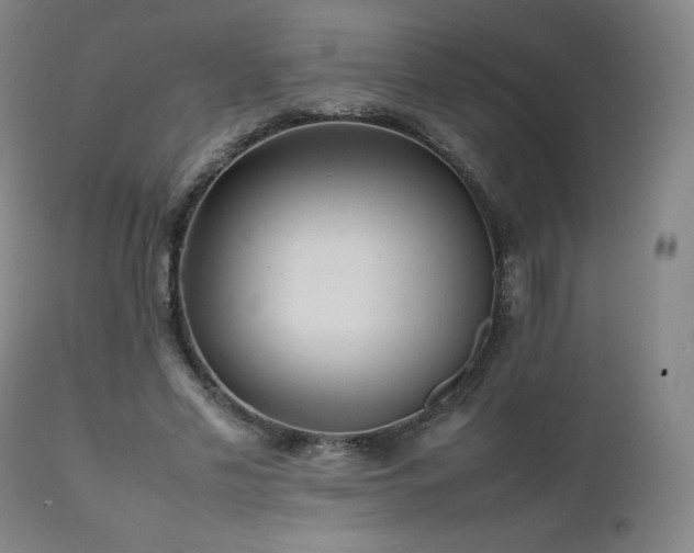 X0000111470589200907131520