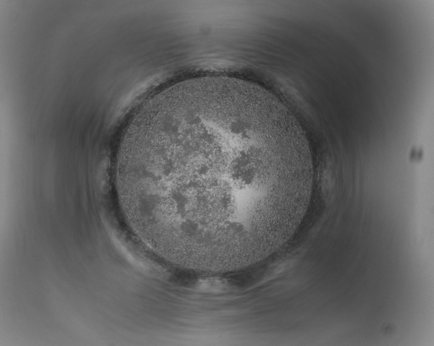 X0000111470591200907131520