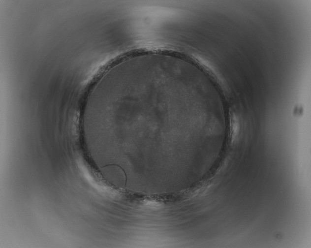 X0000111470592200907131520