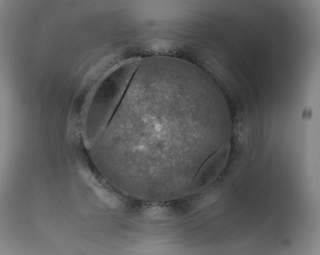 X0000111470593200907131520