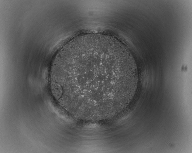 X0000111470594200907131520