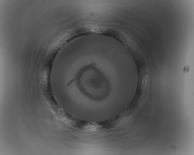 X0000111470595200907131520