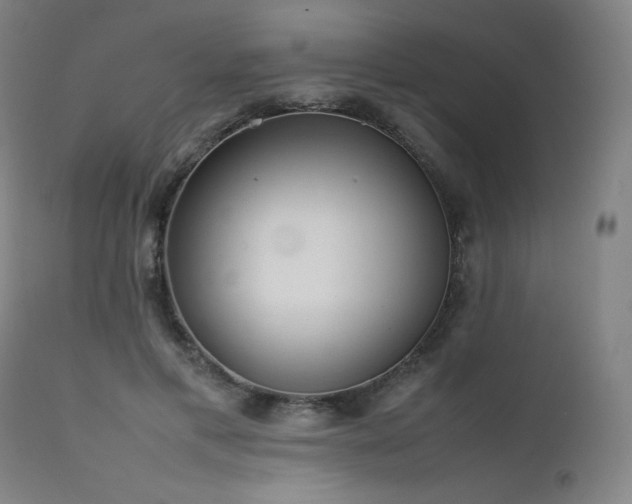 X0000111470597200907131520