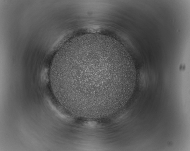 X0000111470598200907131520