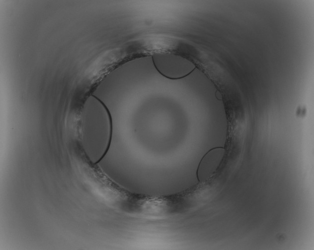X0000111470599200907131520