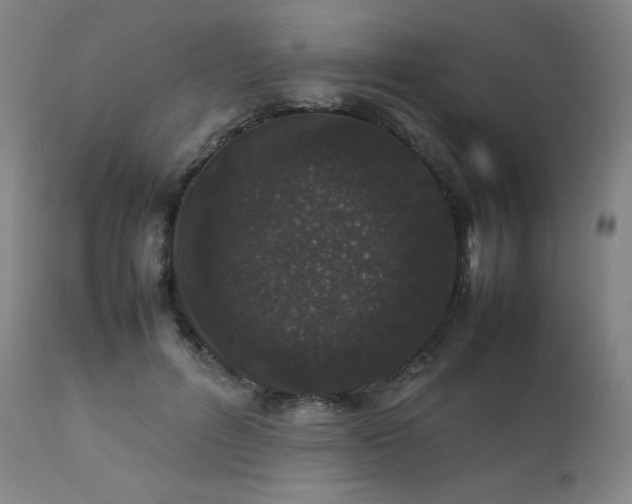 X0000111470600200907131520