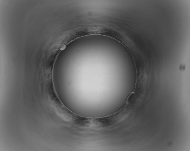 X0000111470601200907131520