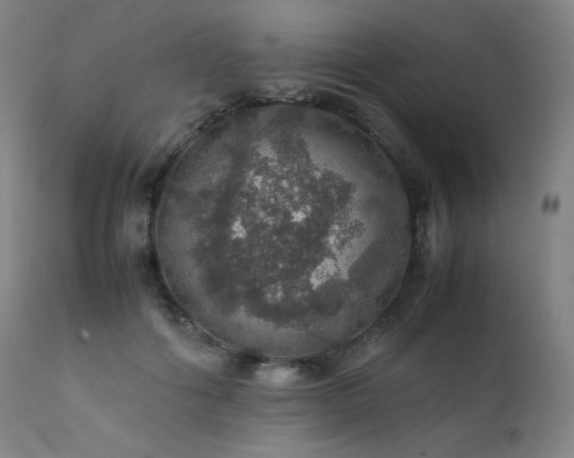 X0000111470602200907131520