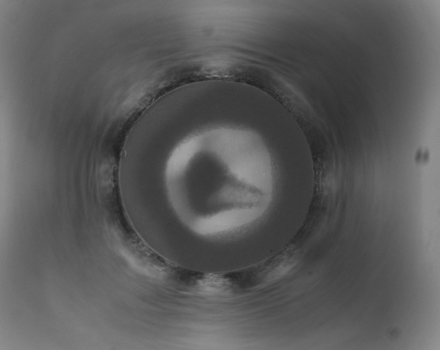 X0000111470603200907131520