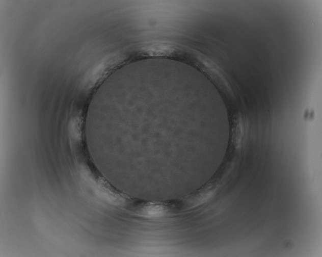 X0000111470604200907131520