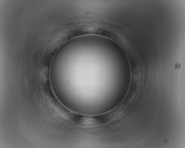 X0000111470605200907131520