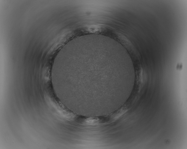 X0000111470606200907131520