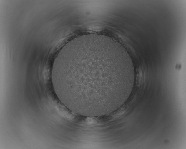 X0000111470608200907131520