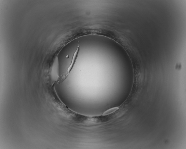 X0000111470609200907131520