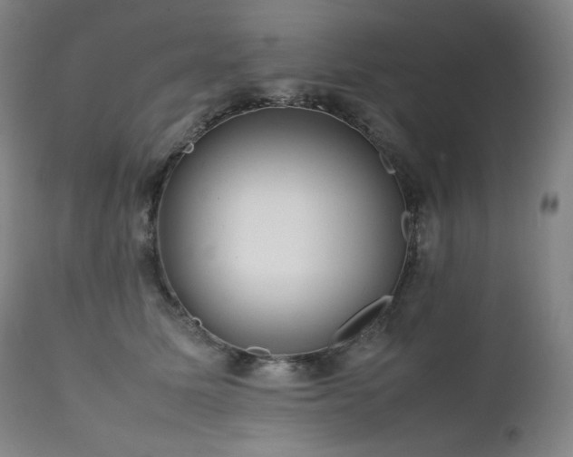 X0000111470611200907131520