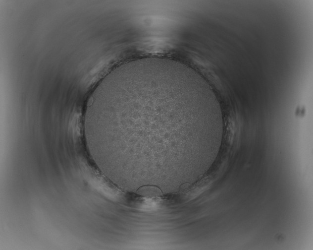 X0000111470612200907131520