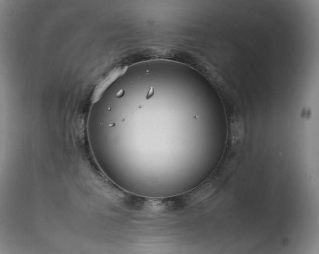 X0000111470613200907131520
