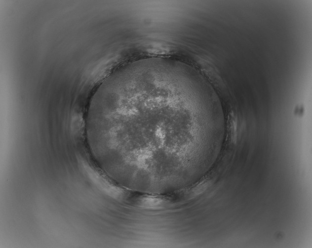X0000111470614200907131520